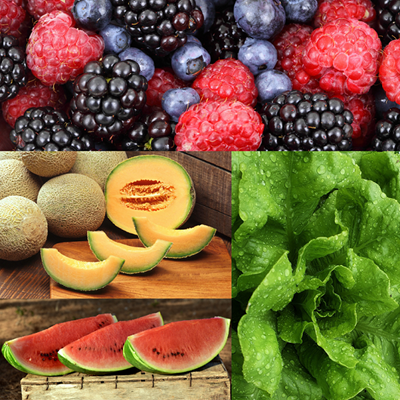 Image: Primary production and processing standards for leafy vegetables, melons, and berries